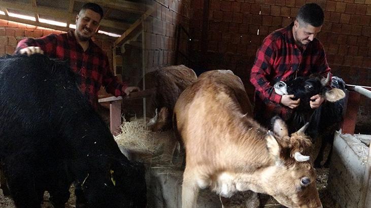 Köye Dönüş Hikayesi: Aile ve Hayvancılıkta Yeni Bir Başlangıç