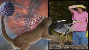 Kuş Gribi H5N1 ve H5N5: Memelere Uzanan Tehditin Yeni Dalgası