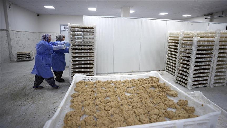 Malatya Tarhanası: Coğrafi İşaretli Geleneksel Lezzetin 3. Kuşakta Yurtdışı Hayali