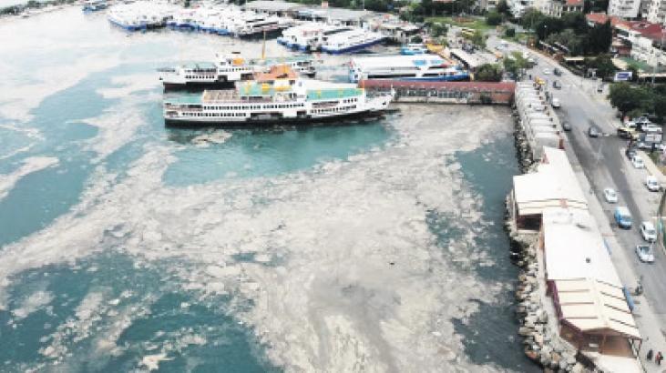 Marmara Denizi ve Deniz Kirliliğiyle Mücadelede Yeni Güncel Veriler