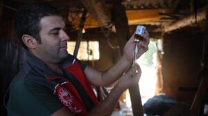 Milas Bölgesinde Şap Hastalığıyla Mücadele: Karantina ve Aşılama Faaliyetleri