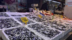 Moloz Balık Tezgahlarında Fiyat Krizi ve Bolluk Dengesi: Hamsi Yerini Istavrit Aldı