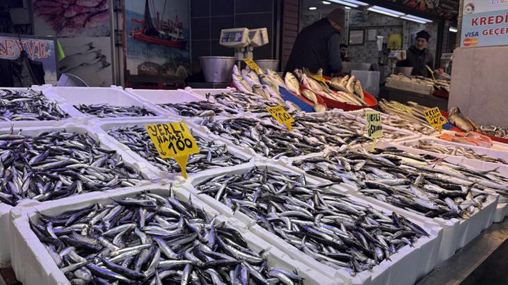 Moloz Balık Tezgahlarında Fiyat Krizi ve Bolluk Dengesi: Hamsi Yerini Istavrit Aldı