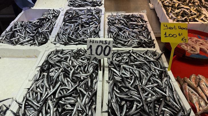Moloz Balık Tezgahlarında Hamsi ve İstavrit Bereketi: Fiyatlar ve Sevkıyetteki Değişimler