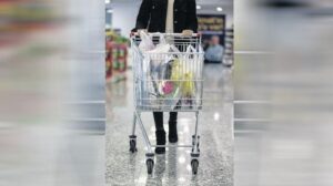 Plastik Poşet Uygulaması ve Ekolojik Etkileri: 2019-2025 Analizi