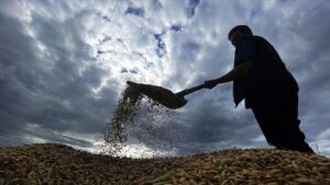 Tarım Sektörüne 1,688 Milyon TL’lik Destek Ödemeleri Çiftçilerimizin Hesaplarında