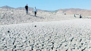 Tarım ve İklim Değişikliği: Yeni Üretim Sistemleri ve Erken Uyarı Işığında Türkiye Konseyi