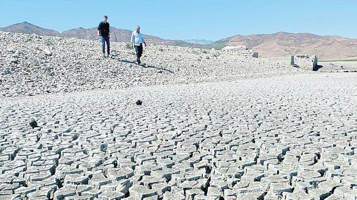 Tarım ve İklim Değişikliği: Yeni Üretim Sistemleri ve Erken Uyarı Işığında Türkiye Konseyi