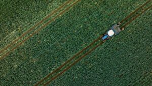 Tarımsal Destekler Hızla Çiftçinin Hesabında: 1,137 Milyon Lira Dağıtımı Tamamlandı