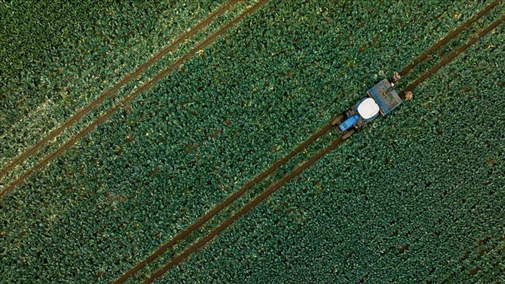 Tarımsal Destekler Hızla Çiftçinin Hesabında: 1,137 Milyon Lira Dağıtımı Tamamlandı