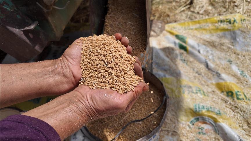 TMO’nun 2025 Faaliyet Değerlendirmesi ve 2026 Hedefleri: Kuraklık Etkileri ve Stok Yönetimi