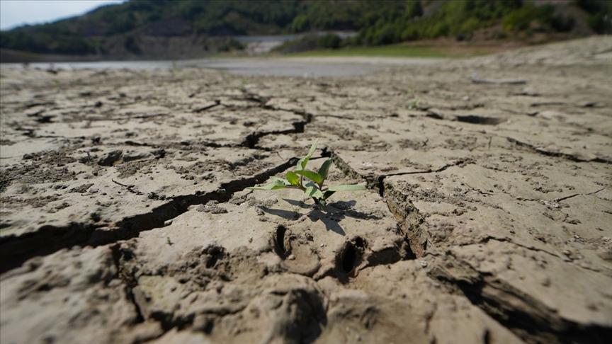 Toprak ve Su Yoksa Gıda da Yok: Dünya ve Türkiye İçin Kritik Uyarı
