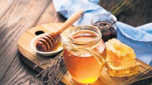 Türkiye Arıcılık Sektörünün Güncel Endişeleri ve Gelecek Perspektifi