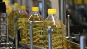 Türkiye, Ayçiçek Yağı İhracatında Dünya Liderliğini Sürdürüyor: 2024 Sonrası Görünüm ve Bölgesel Katkı