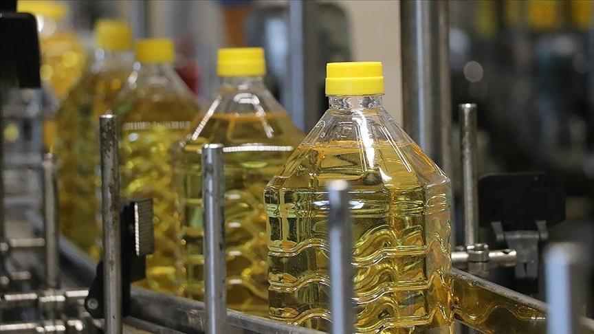 Türkiye, Ayçiçek Yağı İhracatında Dünya Liderliğini Sürdürüyor: 2024 Sonrası Görünüm ve Bölgesel Katkı