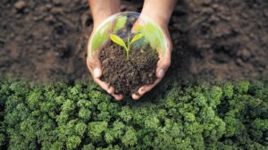 Türkiye Gençleri COP31 İçin Güç Birliği: Kağıt Üzerinde Kalmayan Adımlar ve Gerçek Eylemler