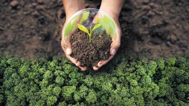 Türkiye Gençleri COP31 İçin Güç Birliği: Kağıt Üzerinde Kalmayan Adımlar ve Gerçek Eylemler