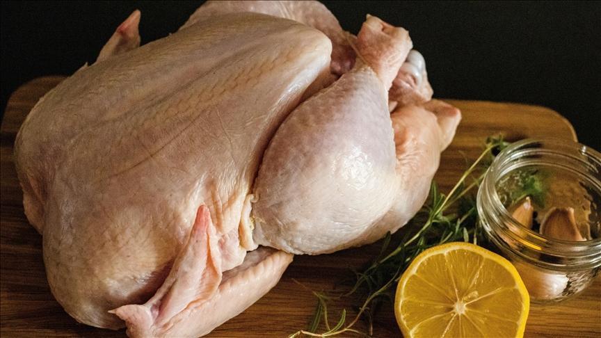 Türkiye’de Kümes Hayvancılığı Üretim Verileri: Ekim Ayı Sonuçları ve Yıllık Eğilimler