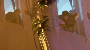 Yangınla Mücadelede Öne Çıkan Anlar: Dumandan Etkilenenler ve Evcil Hayvanların Kurtarılması