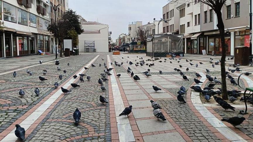 Edirne’de Geceyi Bürüleyen Dondurucu Soğuk ve Sokakların Sessizliği