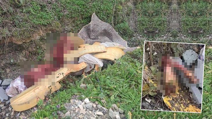 Horozlar Mahallesi Olayı: At ve Eşek Kemikleriyle İlgili Jandarma Operasyonu