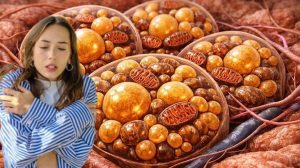 Kahverengi Yağ Dokusu: Soğukla Mücadelede İçten Isıtıcıların Rolü ve Yaşlanma ile İlgili Farklılıklar