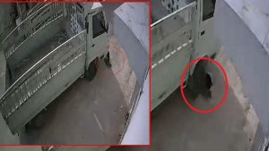 Kedi Katliamı Şüphelisiyle İlgili Gelişmeler ve Görülen Tepkiler