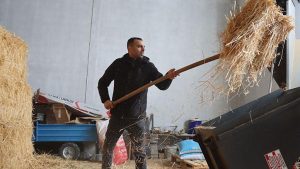 Kırsal Kalkınma Desteğiyle Modern Besi Tesisine Küçük Yatırımla Büyük Katkı