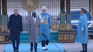 Türkiye-Nijerya Resmi Töreni: Erdoğan ile Tinubu Karşılıklı Karşılama ve Görüşme