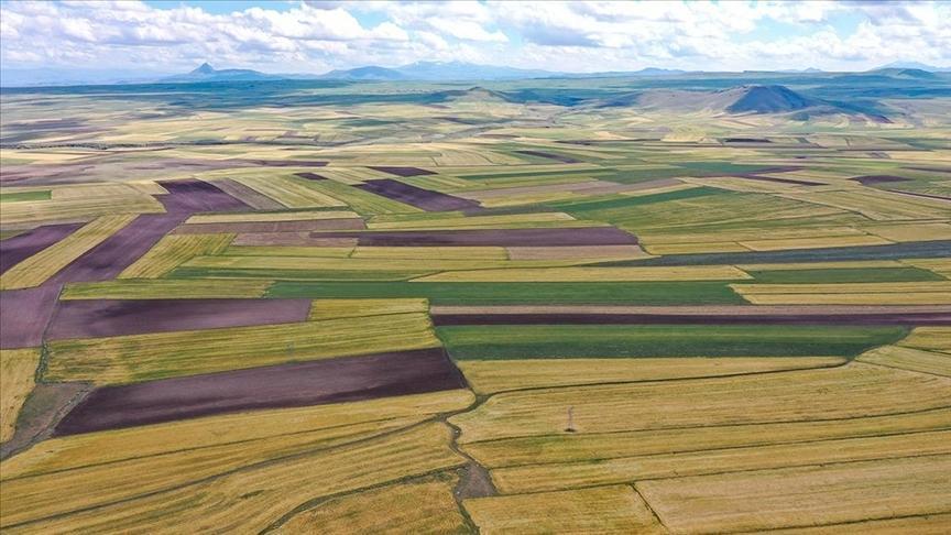 2025 Gayrimenkul Sözleşmeleri: Konut Payı Yüzde 50’yi Aştı, Arsa ve Tarla İlgi Artıyor