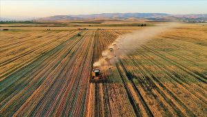 Aralık 2025 Tarımsal Girdi Fiyatları: Yıllık ve Aylık Değişimler Detayları
