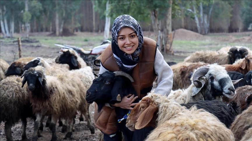 Depremin Ardından Hayvancılığa Gönül Veren Kadının Sürüleri 2 Katına Çıkarken Yaşadığı Zorluklar ve Umut