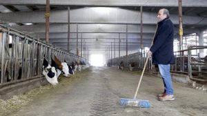 Depremin Ardından Yeniden Yola Devam: Ahır Kaybı ve Yeni Başlangıçlar