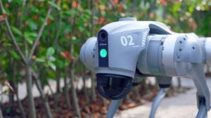Galgotias Üniversitesi ve Orion Robotu: Yapay Zeka Etiği Üzerine Skandal