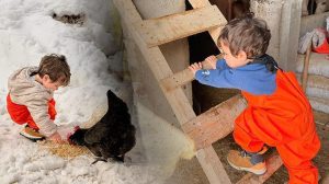 Güneş’in Köydeki Hayatı: Doğayla İç İç Yaşayan Bir Çocuk ve Ailesinin Hikayesi
