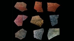 Güney Afrika’da 60 Bin Yıllık İzler: Devekuşu Yumurta Kabuklarındaki Geometrik Desenlerin İncelenmesi