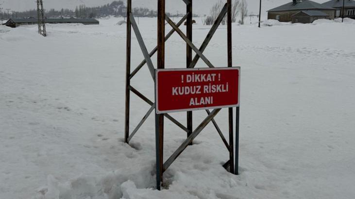 Kadıköy Köyünde Eşek Hastalığı: Kuduz Kaydıyla Karantina ve Önlemler