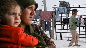 Karlı Dağların Ardında: Morgedik Barajı Yakınlarındaki Güllüçimen Mahallesi’nde Hayvancılıkla Yaşamak