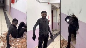Rize’de Bacada Yaşanan Tedirgin Edici Düşüş: Usta Hemenci</n