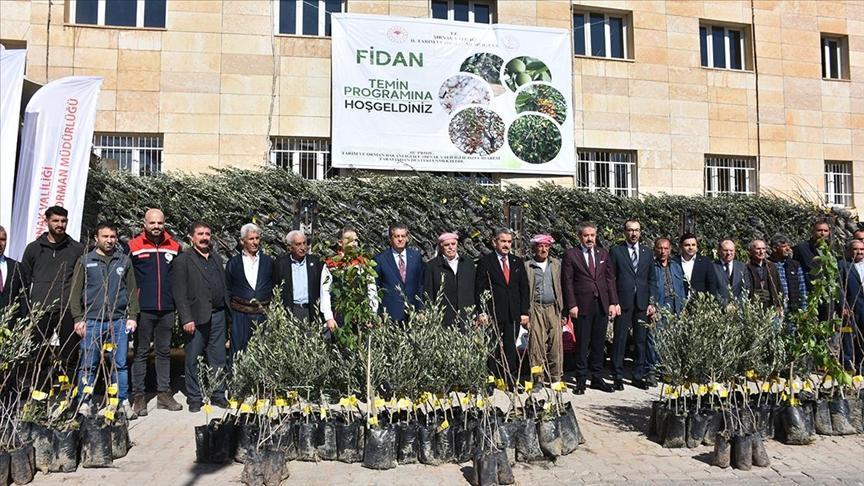 Şırnak Üretiyor Meyveciliğe Yeni Destek: Fidelerle Başlayan Bereket Yılı
