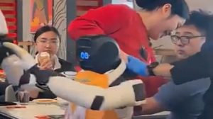 Bay Area’daki Restoranda Robot Sorunları: Kontrol Kaybı ve Güvenlik Çıkmazı