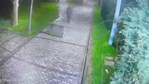 Beyoğlu Parkında Cep Telefonu Hırsızlığı ve Şüphelinin Yakalanması