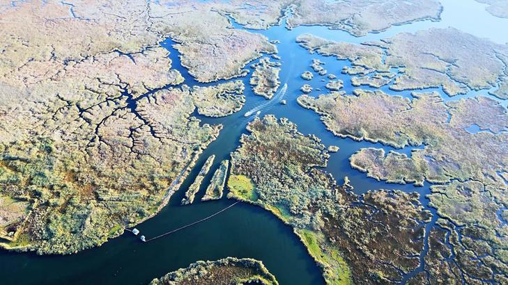 Dalyan Kanalı: Sazlıkların Doğal Filtre ve Turizm Bütünü