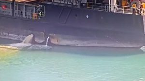 EGDS ile Denizlerimiz İçin Sıkı Denetim: Mersin’de Kirli Balast Deşarjına Ağır Ceza
