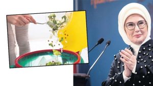 Gıda İsrafını Azaltma Odaklı Kampanya ve Sürdürülebilir Mutfağa Yönelik Çalışmalar