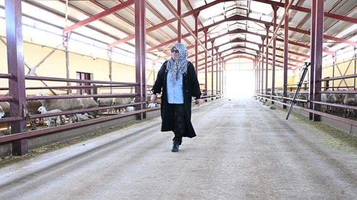 Kayseri’de Hayvancılıkta Yüzde 75 Hibe ile Başlayan Başarı Hikâyesi