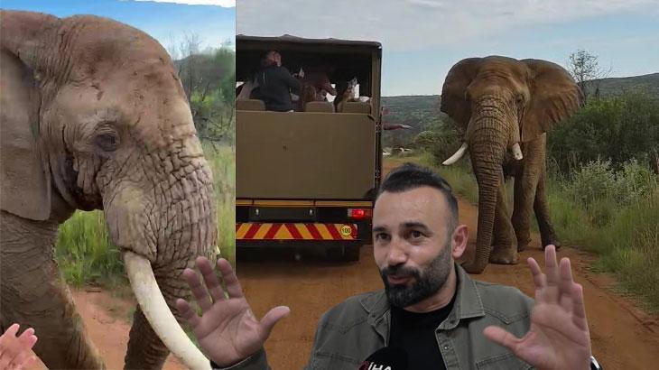 Kovalamaca Anı: Amasya Kafilemiz Safari Sırasındaki Gerilim