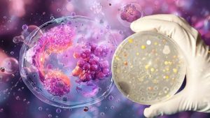 Mikrobiyotanın İzinde: Otizm ve Bağışıklık-Metabolik Ağlarla Dayanışan İç Yüzey