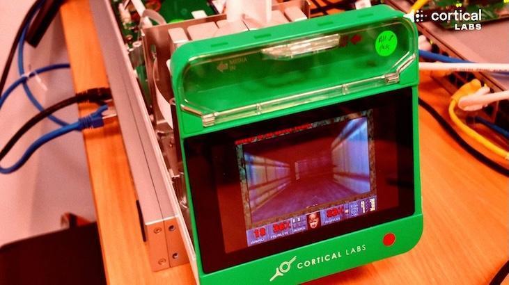 Nöron Tabanlı Çipler İle Doom Oyunu: Biyolojik Bilgisayarlar Yeni Bir Öğrenme Eşiğini Aştı