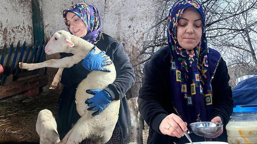 Nurcan Göçmen: Şehirden Kırlara Yolculuk ve Fransız Koyunlarının Süt-Et Dengesi
